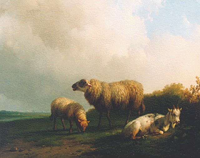 Plas P.  | Cattle in a landscape, Öl auf Holz 30,2 x 38,2 cm, signed l.r. und dated 1848