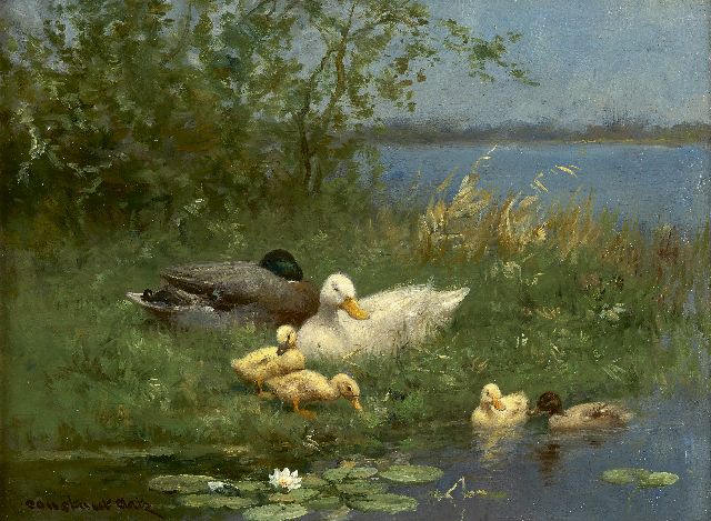 Constant Artz | Ducks and ducklings near the water's edge, Öl auf Holz, 18,1 x 24,2 cm, signed l.l.