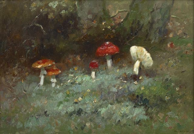 Aris Knikker | Pilze im Wald, Öl auf Leinwand, 35,2 x 50,3 cm, Unterzeichnet r.u.