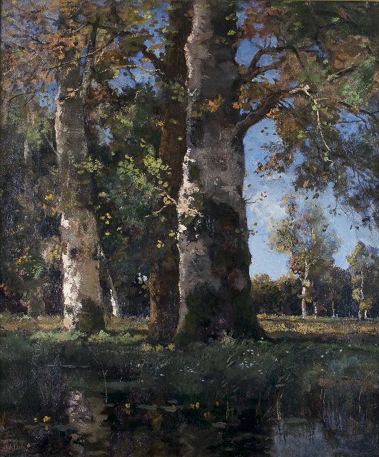 Théophile de Bock | Beech wood, Öl auf Leinwand, 96,8 x 82,1 cm, signed l.l. und dated '96