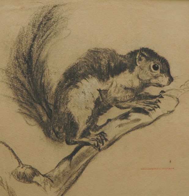 Greta Bruigom | Chipmunk, Schwarze Kreide auf Papier, 30,8 x 30,6 cm, signed l.r. with artist's stamp