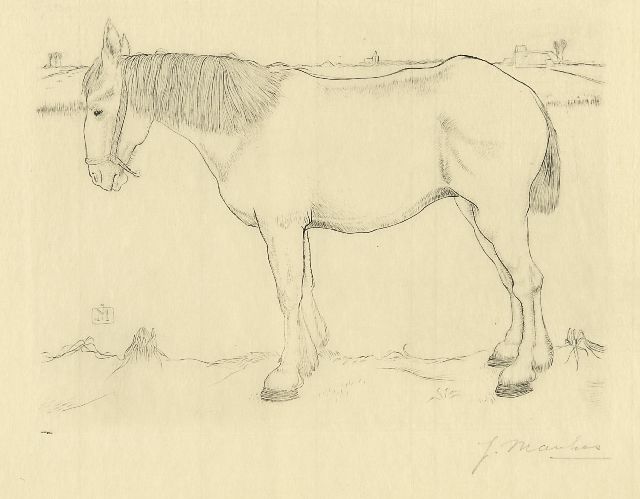 Mankes J.  | Standing horse, Kupferstich auf Papier 14,0 x 17,5 cm, signed l.r. in full (in pencil) and with mon. n the plate und executed in 1917