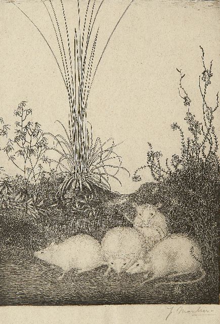 Mankes J.  | Four mice, Radierung auf Papier 19,5 x 14,5 cm, signed l.r. (in pencil) und executed in 1916