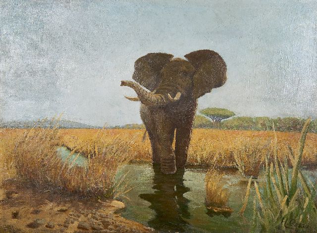 Gezda H.  | Watender Elefant, Öl auf Leinwand 70,6 x 93,0 cm, Unterzeichnet r.u. und datiert '93  [1893]
