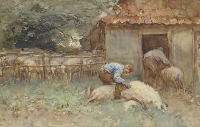 Nat W.H. van der | Schafe scheren, Aquarell auf Papier 34,4 x 52,6 cm, Unterzeichnet l.u.