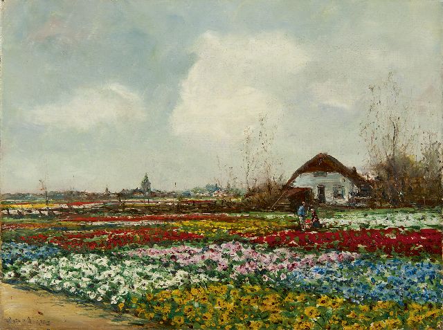 Anton Dirckx | Felder mit blühenden Blumenzwiebeln, Öl auf Leinwand, 30,2 x 40,3 cm, Unterzeichnet l.u.
