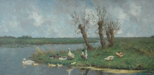 Constant Artz | A Dutch polder landscape with pollard willows and ducks, Öl auf Leinwand, 40,0 x 80,5 cm, signed l.r.