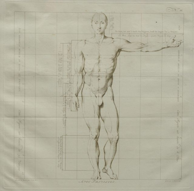 Jacob de Wit | Die Idealmaße des menschlichen Körpers - Mann ( Nr. II), Stich auf Papier, 40,0 x 40,0 cm
