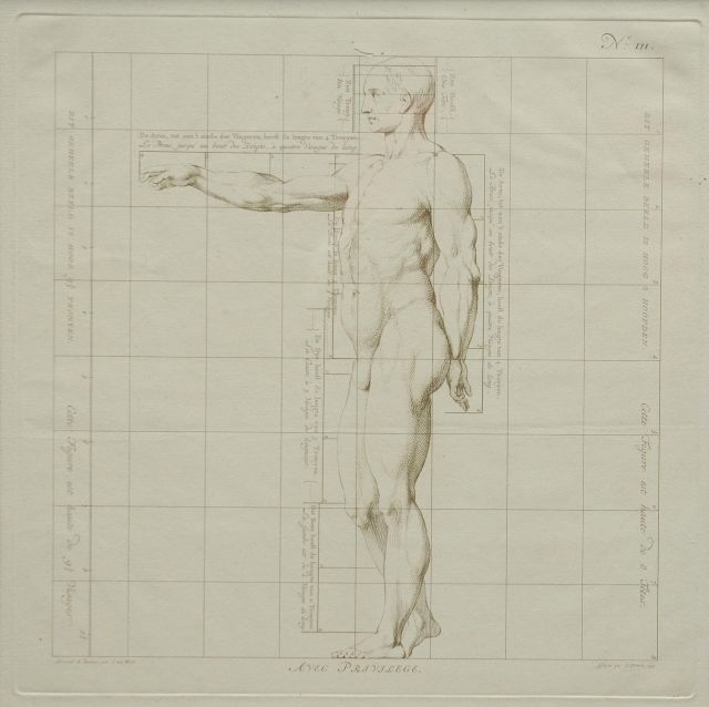 Wit J. de | Die Idealmaße des menschlichen Körpers - Mann ( III), Stich auf Papier 40,0 x 40,0 cm