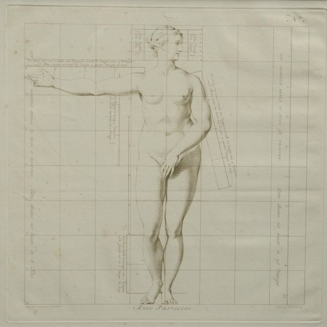 Wit J. de | Die Idealmaße des menschlichen Körpers - Frau ( Nr. V), Stich auf Papier 40,0 x 40,0 cm