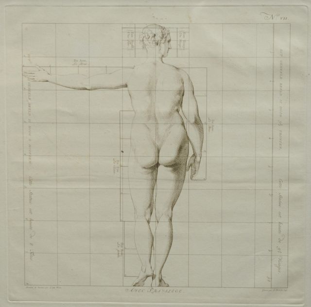 Wit J. de | Die Idealmaße des menschlichen Körpers - Frau ( Nr. VII ), Stich auf Papier 40,0 x 40,0 cm