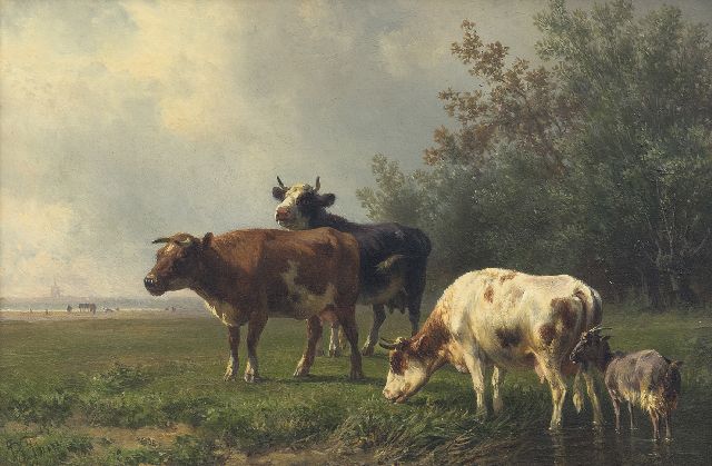 Jan Bedijs Tom | Grasende Kühe (nur zusammen mit Gegenstück), Öl auf Holz, 19,7 x 29,4 cm, Unterzeichnet l.u.