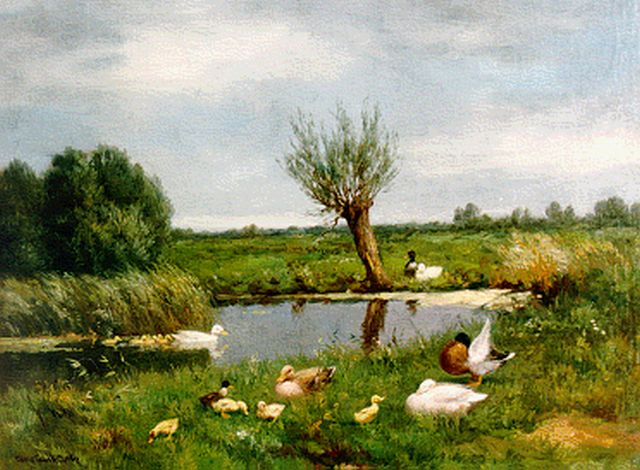 Constant Artz | Ducks with ducklings on the riverbank, Öl auf Leinwand, 30,5 x 40,5 cm, signed l.l.