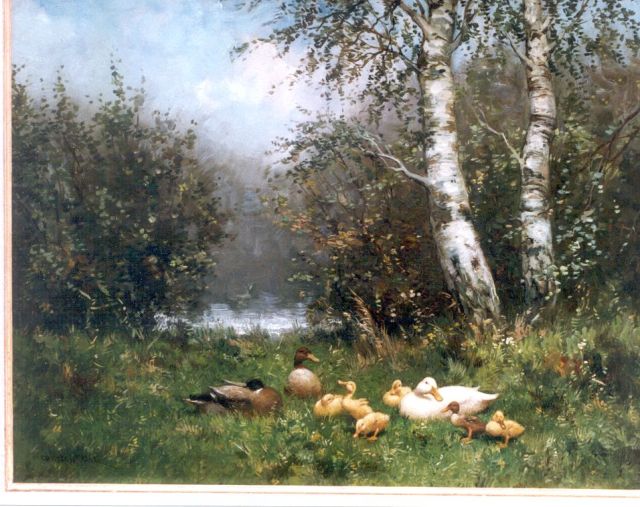 Constant Artz | Ducks with ducklings on the riverbank, Öl auf Holz, 41,0 x 51,0 cm, signed l.l.