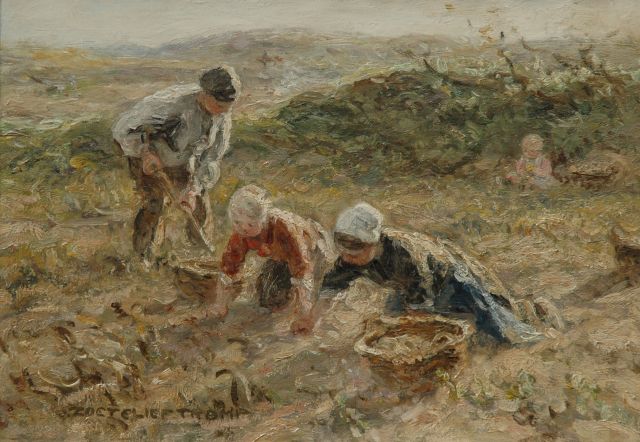 Zoetelief Tromp J.  | Kartoffeln ausroden in den Dünen bei Katwijk, Öl auf Leinwand 25,5 x 35,3 cm, Unterzeichnet l.u.