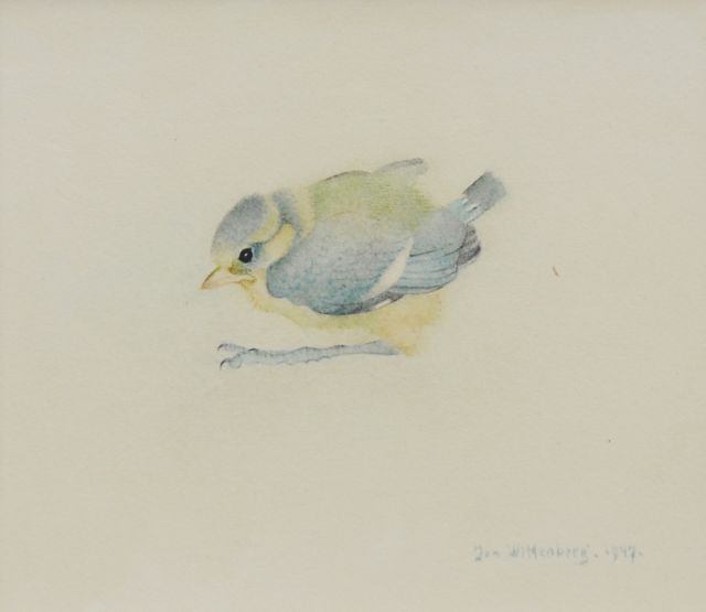 Jan Wittenberg | Junge Blaumeise, Aquarell auf Papier, 10,8 x 13,3 cm, Unterzeichnet u.r. und datiert 1947