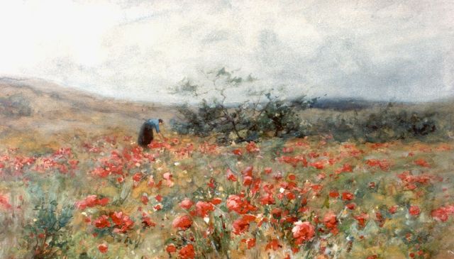 Jan Hillebrand Wijsmuller | A field with poppies, Aquarell auf Papier, 31,5 x 51,5 cm