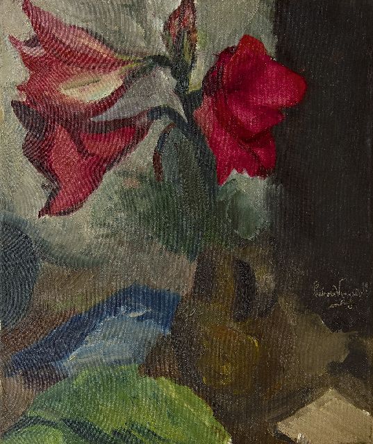 Piet van Wijngaerdt | Amaryllis, Öl auf Leinwand, 60,0 x 50,6 cm, Unterzeichnet M.r.