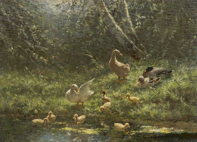 Constant Artz | Enten am Ufer, Öl auf Leinwand, 30,4 x 40,4 cm, Unterzeichnet u.r.