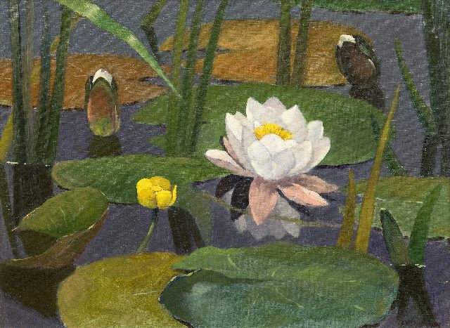 Adriaan Vermeulen | Wasserrosen, Öl auf Leinwand, 30,4 x 40,7 cm, Unterzeichnet u.r.