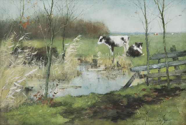 Scherrewitz J.F.C.  | Zwei Kälber in der Wiese, Aquarell auf Papier 30,1 x 44,3 cm, Unterzeichnet u.r.