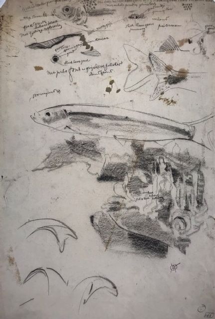 Dijsselhof G.W.  | Ein studie in Farbe von Aquarium Fische, Holzkohle  auf Papier 42,1 x 28,6 cm, Unterzeichnet u.r. mit Monogramm