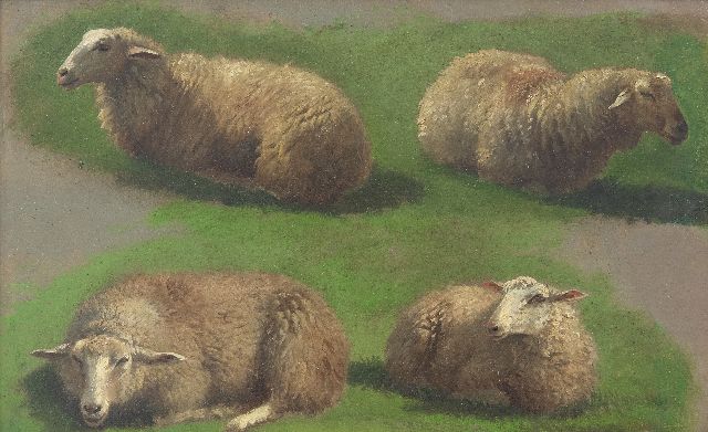 Frans Lebret | Schaf-Studie, Öl auf Papier auf Holz, 23,4 x 37,0 cm