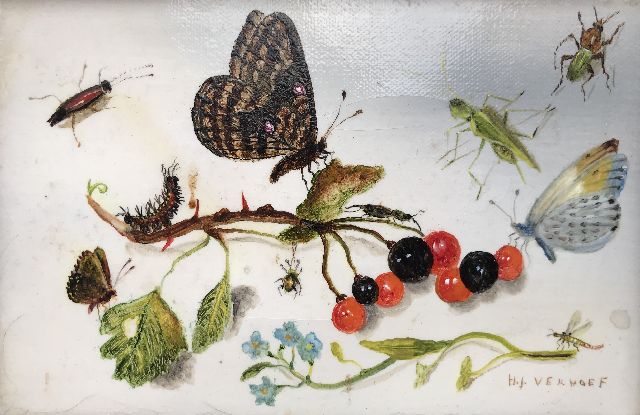 Verhoef H.  | Stilleben mit Schmetterlingen, Insekten und Beeren, Öl auf Leinwand 10,3 x 15,5 cm, Unterzeichnet u.r.