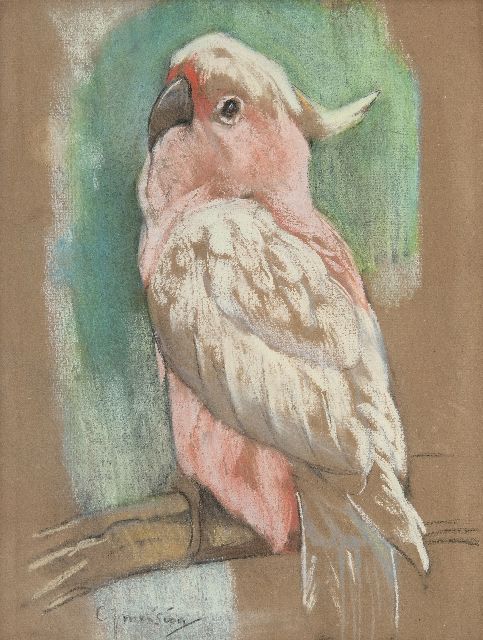 Cornelis Jan Mension | Rosa Kakadu, Pastell auf Papier, 31,1 x 23,7 cm, Unterzeichnet u.l.