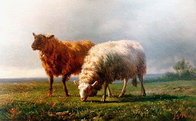 Tom J.B.  | Sheep in a landscape, Öl auf Holz 14,6 x 22,8 cm, signed l.r.