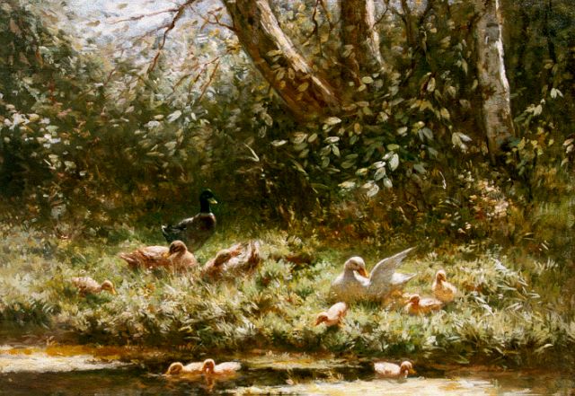 Constant Artz | Ducks with ducklings on the riverbank in summer, Öl auf Leinwand, 30,0 x 40,2 cm, signed l.l.
