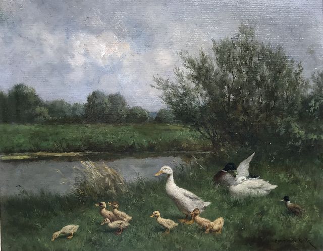Constant Artz | Enten am Ufer, Öl auf Leinwand, 40,0 x 50,0 cm, Unterzeichnet u.r.