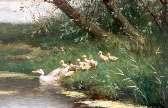 Constant Artz | A duck with ducklings watering, Öl auf Leinwand, 39,7 x 60,0 cm, signed l.r.