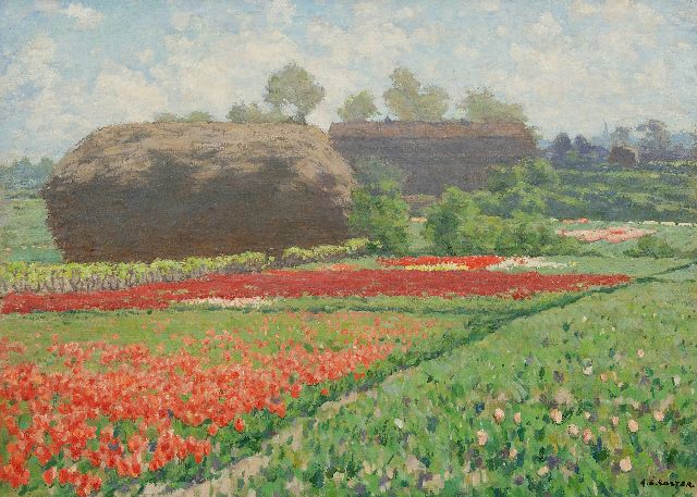 Anton Koster | Spätbluhende Tulpen bei Bennebroek, Öl auf Leinwand, 50,6 x 70,5 cm, Unterzeichnet u.r.