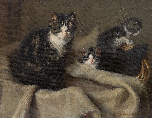 Anna Maria Kruijff | Mutterkatze mit zwei Kätschen, Öl auf Leinwand, 35,2 x 45,4 cm, Unterzeichnet u.r. und datiert 1908