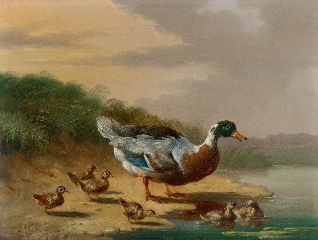 Albertus Verhoesen | Ente mit Küken am Wasser, Öl auf Holz, 13,2 x 17,0 cm, Unterzeichnet u.l. und datiert 1841