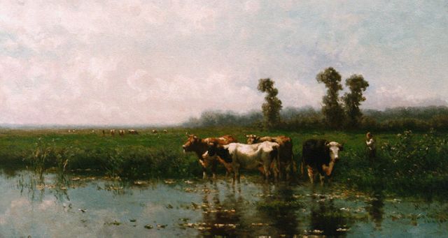 Jan Vrolijk | Cows watering, Öl auf Holz, 51,0 x 90,0 cm, signed l.l. und dated '87