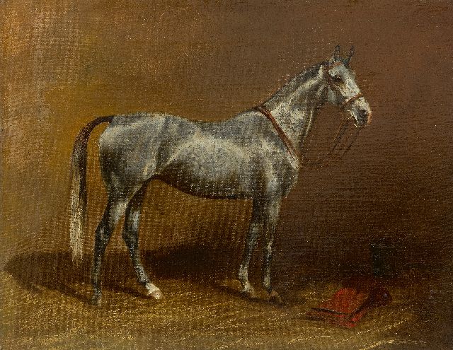 Wilhelm Westerop | Porträt eines grauen Pferdes, Öl auf Leinwand, 35,0 x 45,0 cm, Unterzeichnet u.l. und datiert 1929