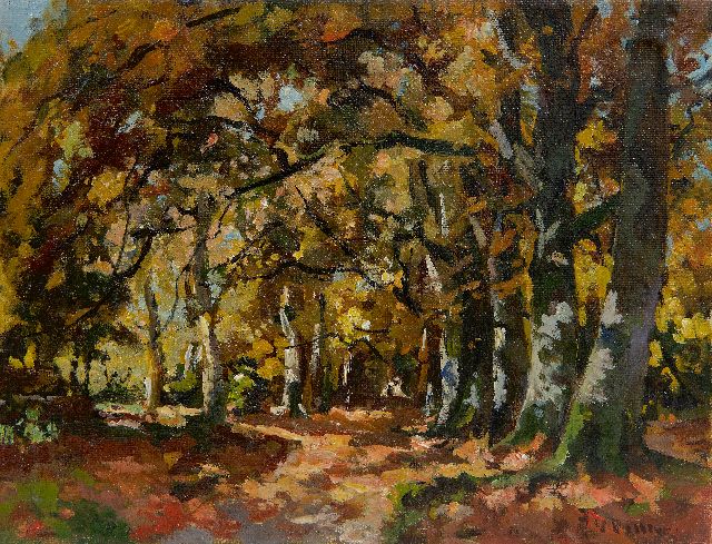 Jan van Vuuren | Herbstwald, Öl auf Leinwand, 19,2 x 25,2 cm, Unterzeichnet u.r.