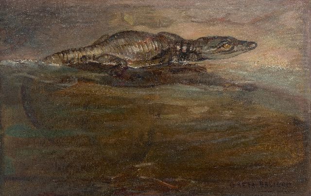 Greta Bruigom | Junge Nilkrokodil, Öl auf Leinwand, 26,4 x 41,5 cm, Unterzeichnet u.r.