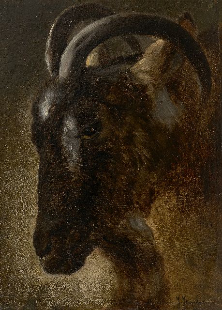 Jacques Janssens | Kopf eines Widders, Öl auf Holz, 22,2 x 16,2 cm, Unterzeichnet u.r.