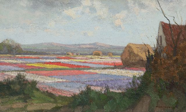 Willem Noordijk | Blumenfelder hinter den Dünen, Öl auf Leinwand, 30,7 x 50,2 cm, Unterzeichnet u.r.