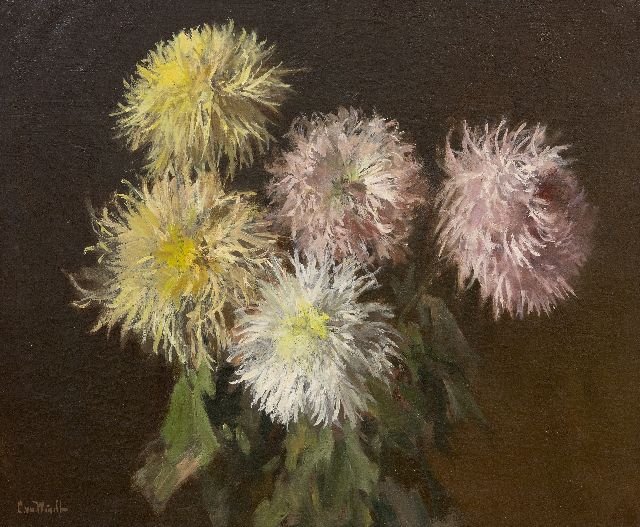 Chris van der Windt | Chrysanthemen, Öl auf Leinwand, 45,2 x 55,3 cm, Unterzeichnet u.l.