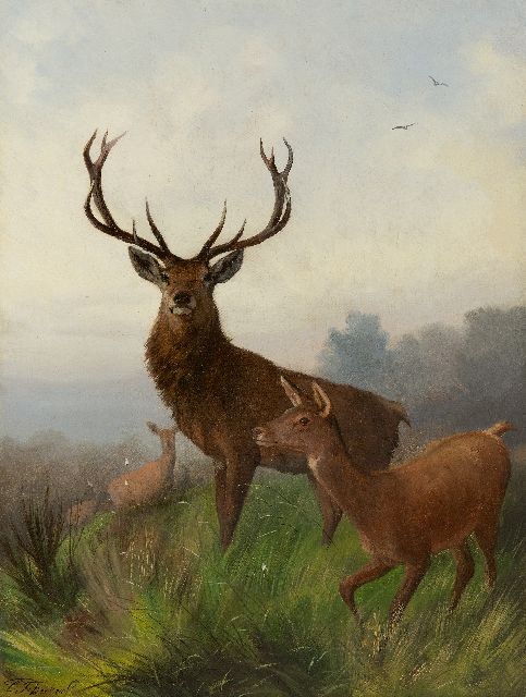 Deiker C.F.  | Wild auf einem Hügel, Öl auf Leinwand 48,6 x 37,5 cm, Unterzeichnet u.l.