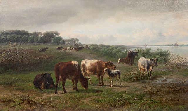 Jan Bedijs Tom | Kühe entlang eines Flusses, möglicherweise des Rheins in Gelderland, Öl auf Leinwand, 72,3 x 122,5 cm, Unterzeichnet u.r. und datiert 1874