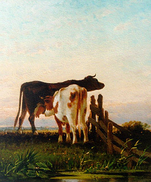 Cornelis Westerbeek | Cows by a fence, Öl auf Holz, 42,5 x 36,5 cm, signed l.r. und dated '81