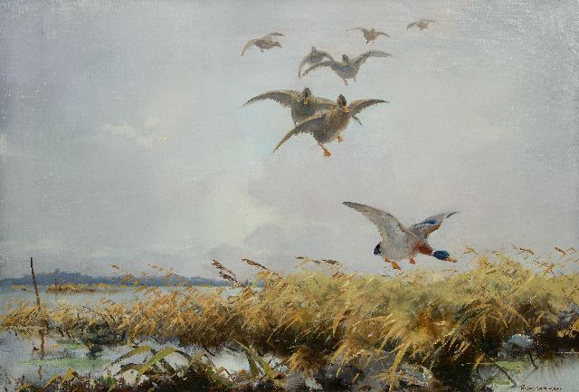 Hem P. van der | Entenflug, Öl auf Leinwand 65,8 x 96,4 cm, Unterzeichnet u.r.