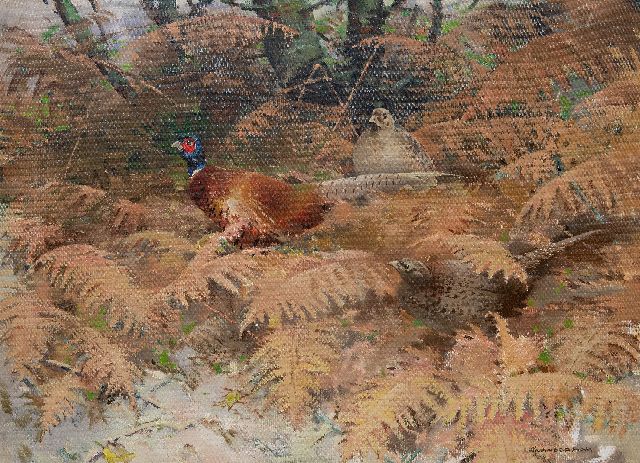 Piet van der Hem | Fasanhahn mit zwei Hennen zwischen Farnen, Öl auf Leinwand, 75,5 x 100,0 cm, Unterzeichnet r.u.