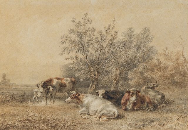 Jan Bedijs Tom | Kühe bei Kopfweiden, Tinte und Aquarell auf Papier, 20,7 x 30,0 cm, Unterzeichnet u.r.