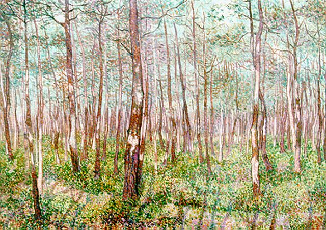 Jakob Nieweg | A forest landscape, Öl auf Leinwand, 50,0 x 70,2 cm, signed l.r. und dated '23